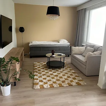 Tilava Yksioe Ilmainen Pysaekoeinti Apartament *