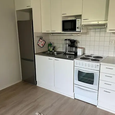 Apartman Tilava Yksioe Ilmainen Pysaekoeinti