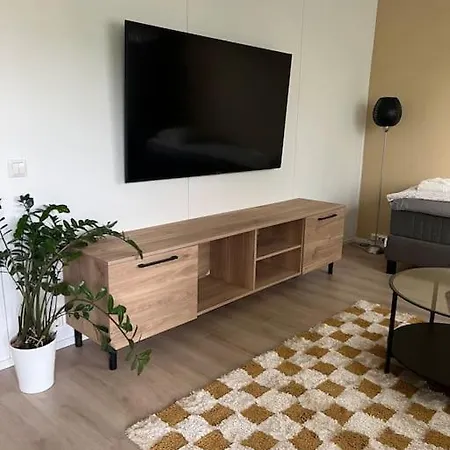 Tilava Yksioe Ilmainen Pysaekoeinti Διαμέρισμα